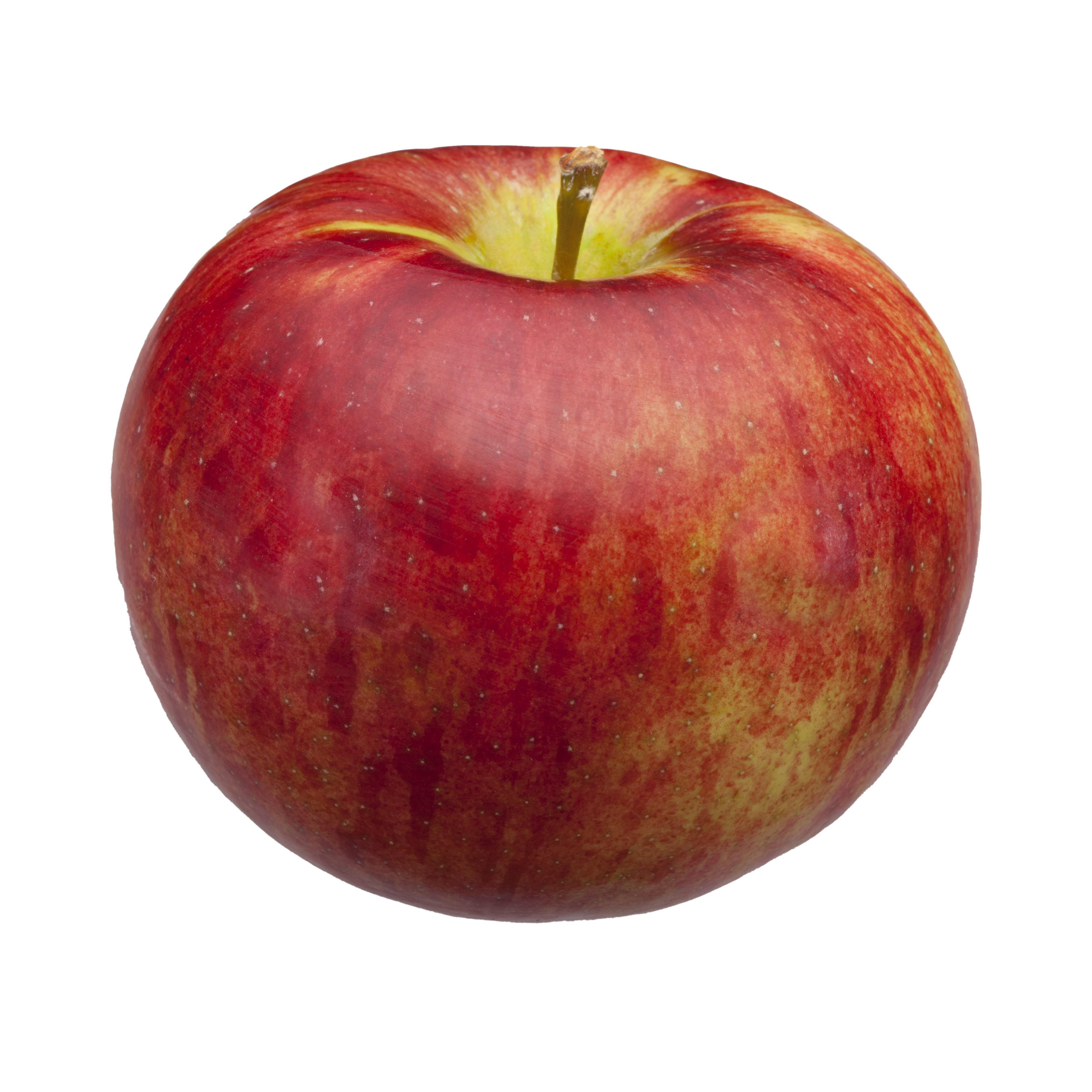 Fresh McIntosh Apple