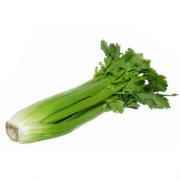Fresh Celery