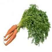 WILD HARVEST ORG. BABY CARROTS