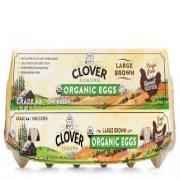 Clover Organic Cage Free Large Brown Eggs