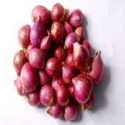 Pearl Red Onions