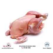 zabiha halal whole chicken (Approx 3.-4 Lbs) Approved by Sharia Board of America