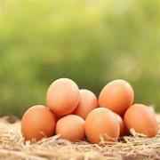 EGGS - DUTCH FARMS GRADE A MEDIUM BROWN ORGANIC EGGS
